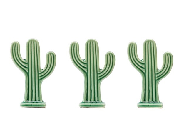 Cactus decorativo in ceramica su sfondo bianco