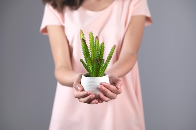 Cactus della mano della donna