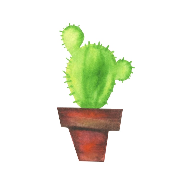 Cactus disegnati a mano dell'acquerello in una pentola