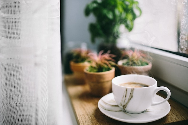 Cactus e caffè su un davanzale di legno