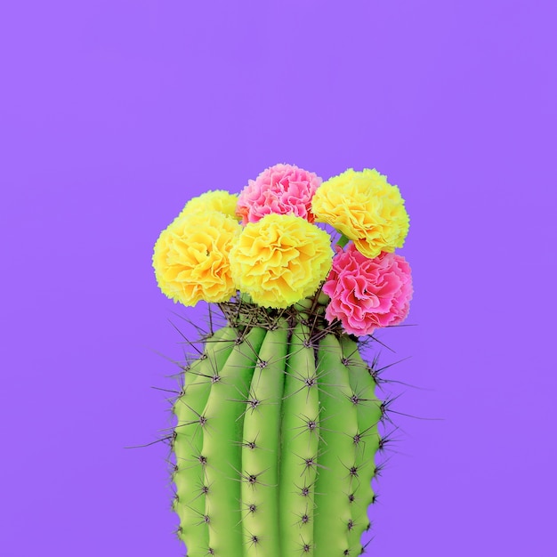 Cactus e rose. Colori caramelle. Concept art minimale