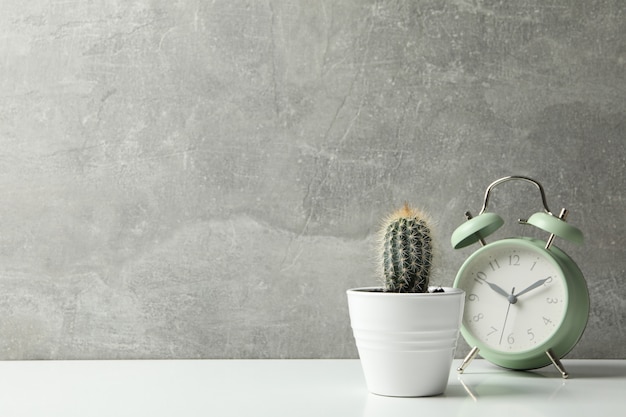 Cactus e sveglia contro la superficie grigia