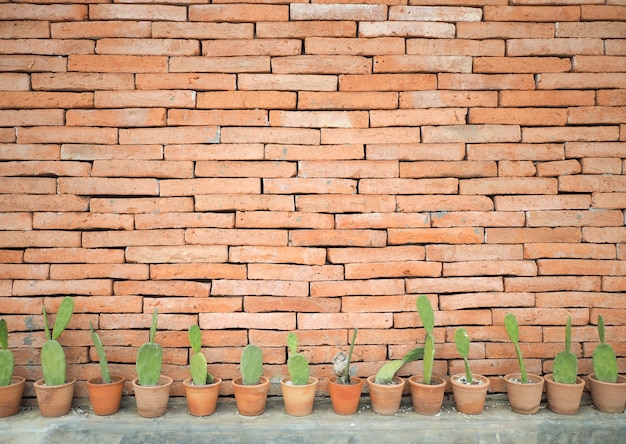 Cactus in vaso con il fondo del muro di mattoni.