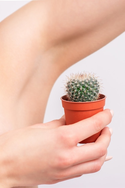 Cactus in vaso vicino all'ascella della donna su priorità bassa bianca. Concetto di depilazione, epilazione e rimozione