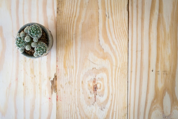 Cactus nel fondo di legno della tavola del vaso con lo spazio della copia