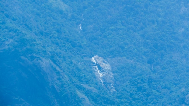 Cade nella montagna della foresta