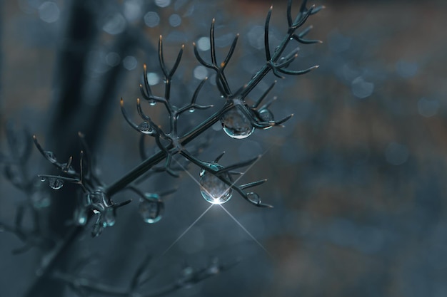 cadere sulla pianta nei giorni di pioggia in primavera, sfondo blu e scuro