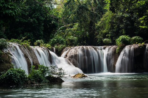 Caduta d&#39;acqua nella foresta