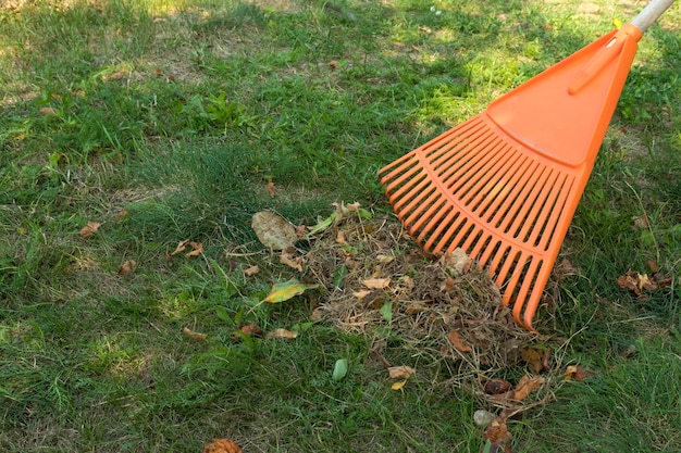 Caduta e rimozione delle foglie in autunno rastrello foglie su un prato con rastrelli in giardino