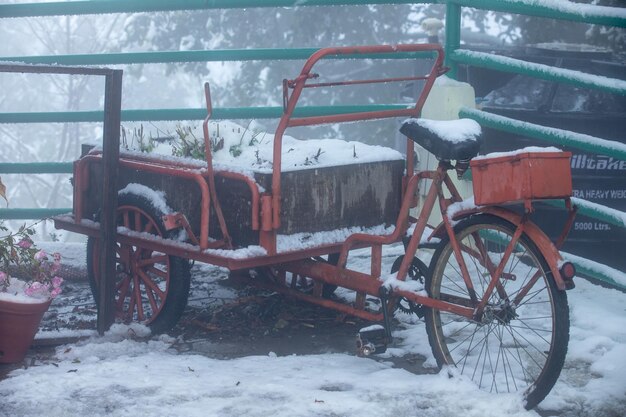 Cadute di neve