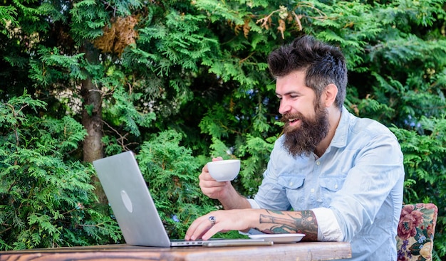 Cafe che garantisce un uso confortevole di Internet Uomo barbuto che beve e naviga sul Web al bar Hipster che si gode il tè e la connessione Wi-Fi gratuita al bar Cyber cafe che fornisce accesso a Internet e caffè appena preparato