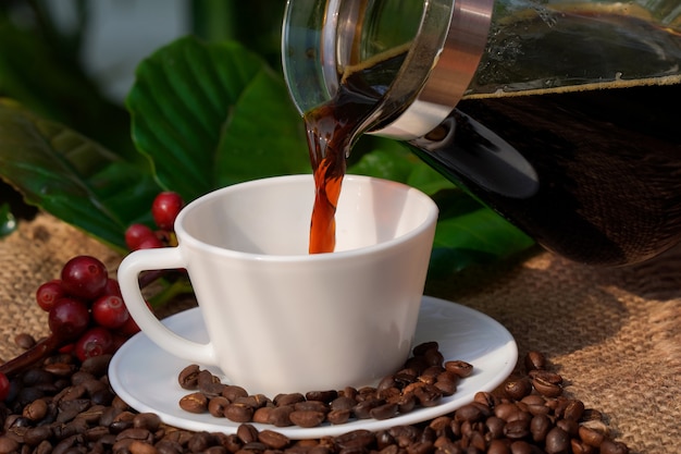 Caffè americano in una tazza di caffè bianco con sfondo di chicchi di caffè crudo e tostato.