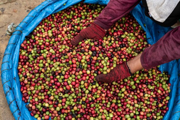 caffè asciutto sul pavimento