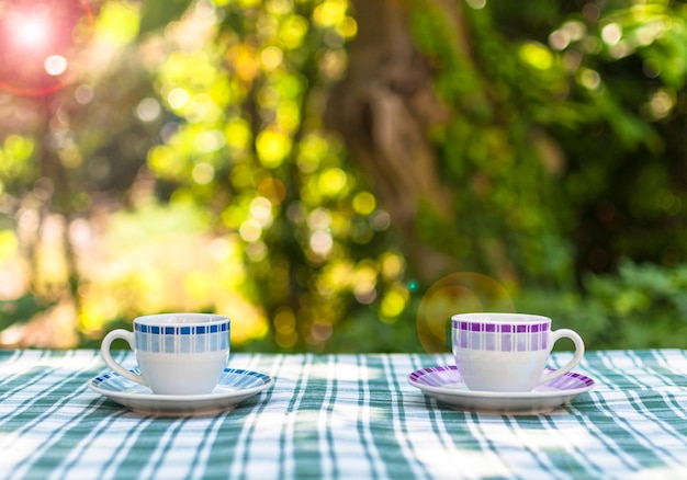 Caffè in giardino