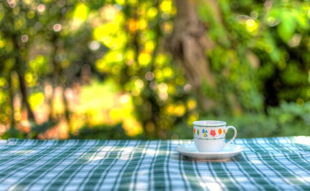 Caffè in giardino