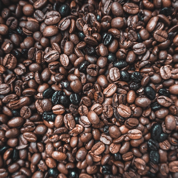 caffè in grani tostati, fondo marrone