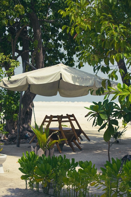 Caffè locale accogliente nell'isola di Maafushi, Maldive