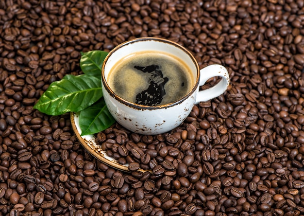 Caffè nero con il fondo dei fagioli di caffee delle foglie verdi