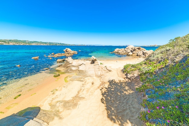 Cala dei Ginepri in Costa Smeralda Sardegna