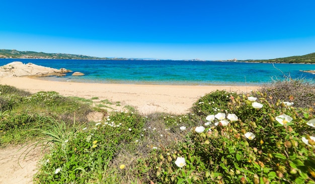 Cala dei Ginepri in Costa Smeralda Sardegna