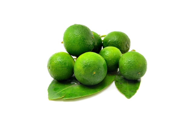 Calamansi su sfondo bianco