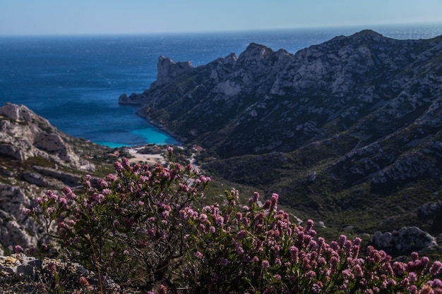 Calanchi del parco nazionale