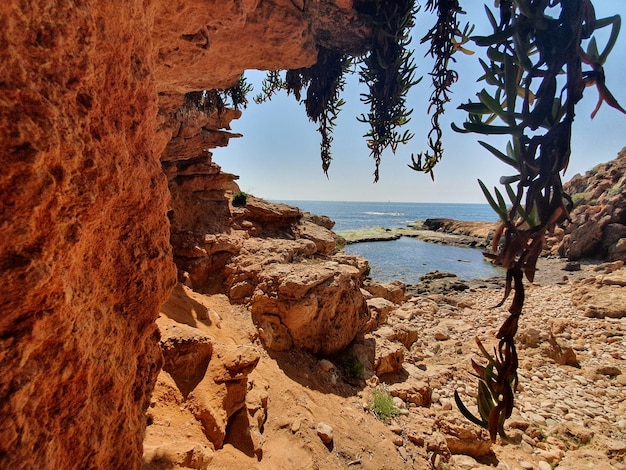 Calas de Torrevieja rocas junto al mar