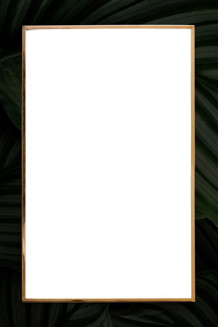 Foto calathea orbifolia png foglie cornice
