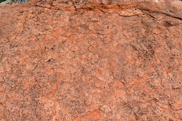 Calcare rosa chiamato Caliza del Danes Paleocene 63 Mya