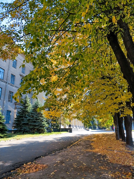 Calda giornata autunnale per le strade della città