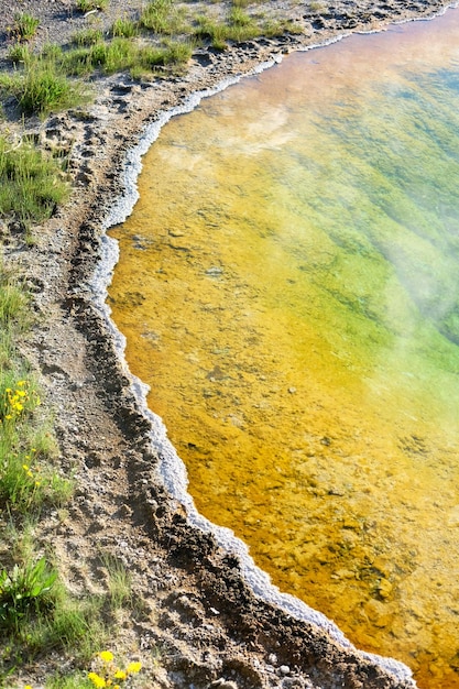 Calda sorgente termale a Yellowstone