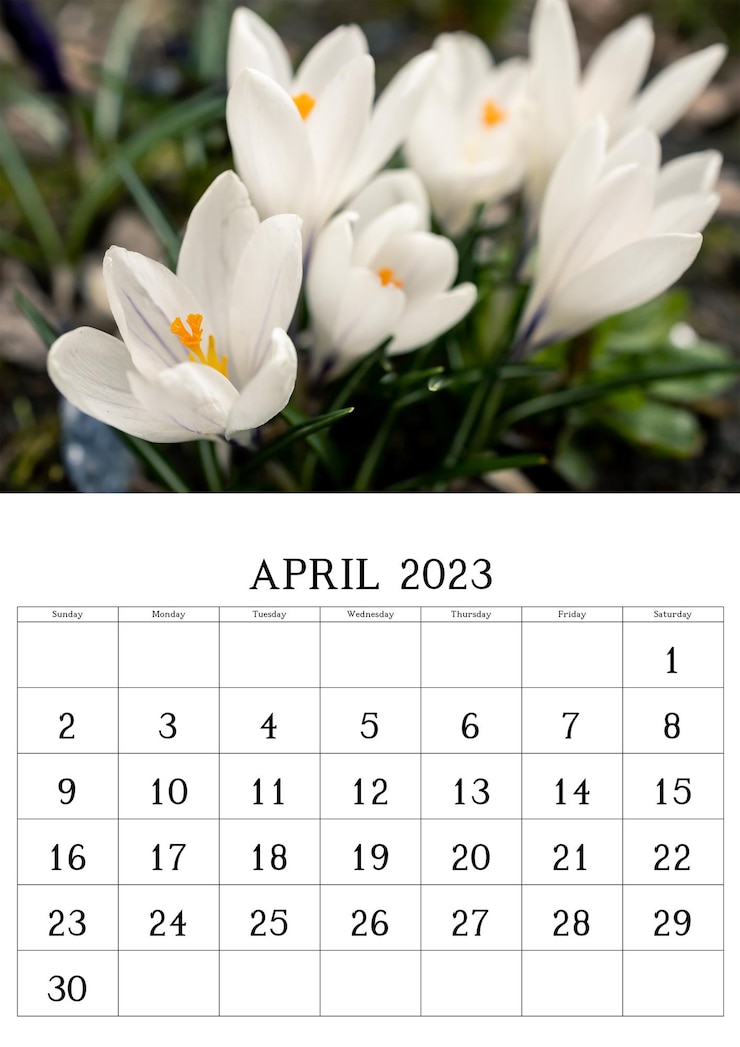 Photo calendar for april 2023