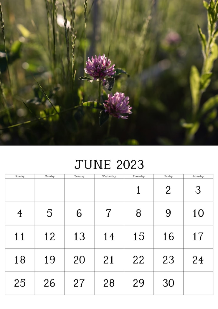 Photo calendar with nature photo for june 2023