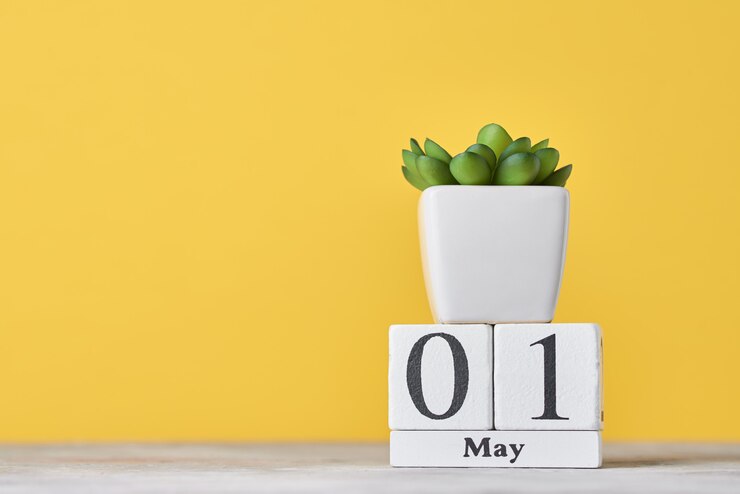 Calendario a blocchi di legno con data 1 maggio e pianta succulenta in vaso. Concetto di festa del lavoro