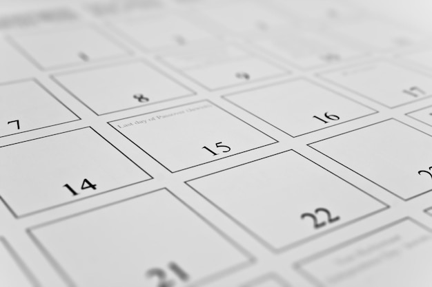 calendario del mese con focus sul giorno 15