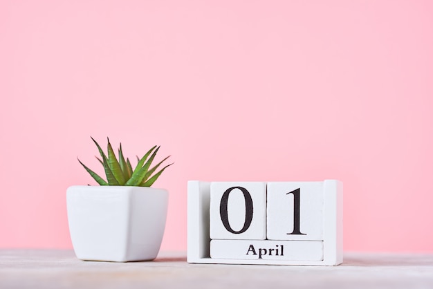 Calendario di blocchi di legno con data 1 aprile e pianta su sfondo rosa. Concetto di giorno dei pesci d'aprile