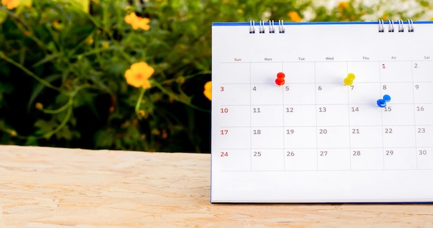 Calendario e appuntamenti programmati con spille