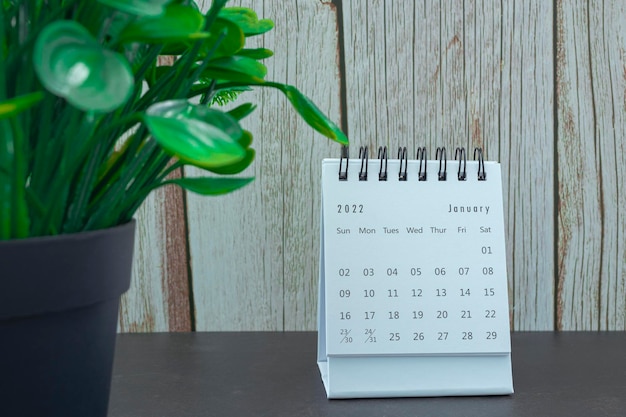 Calendario gennaio 2022 bianco con pianta in vaso. Concetto di Capodanno 2022