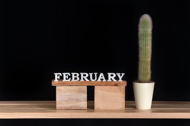 Calendario in legno di gennaio e cactus su sfondo nero Mock up