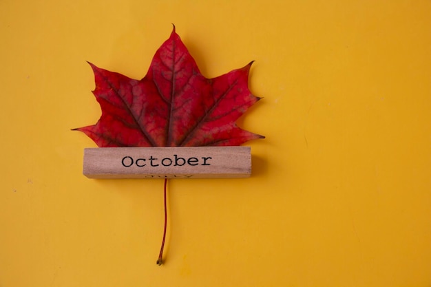 Calendario mese autunnale Ottobre e foglie arancioni di un acero su sfondo giallo Vista dall'alto Concetto minimo Ciao Autunno Modello per il tuo biglietto di auguri di design