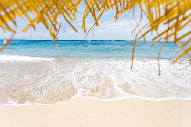 Calma e rilassante spiaggia vuota scena cielo blu e sabbia bianca