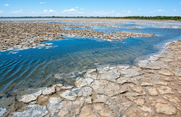 Camargue in Francia