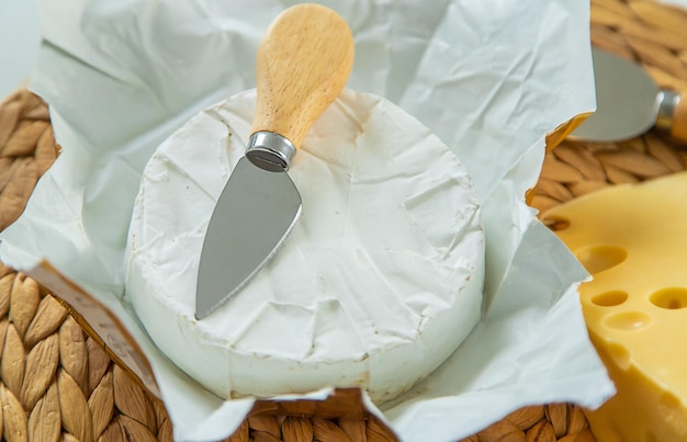 Camembert sul tavolo Fuoco selettivo