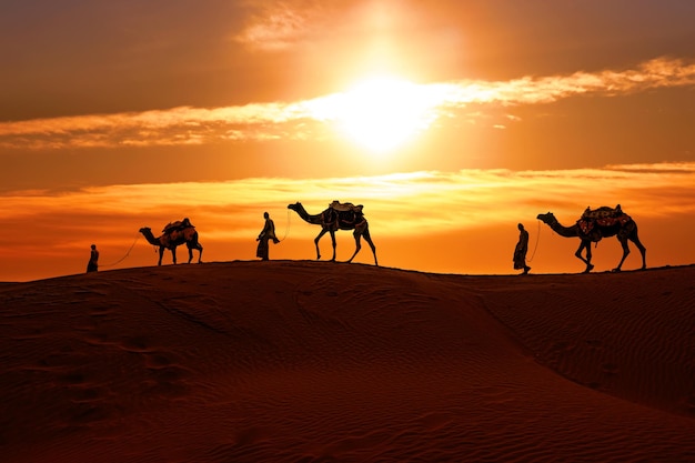 Camerieri, cammellieri al tramonto. Deserto di Thar sul tramonto Jaisalmer, Rajasthan, India.