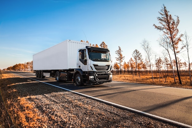 Camion bianco con rimorchio bianco sulla strada in autunno