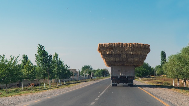 Camion carico di fieno sulla strada