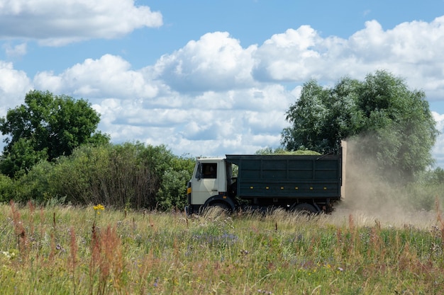 Camion carico di miglio in campagna, attraversando il campo.