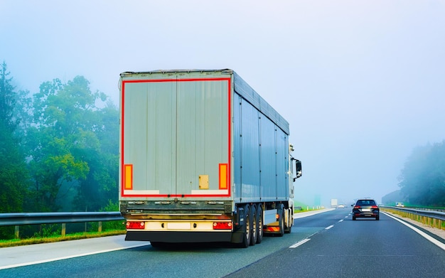 Camion in strada estiva della Polonia. Camionista in autostrada. Camion che fa lavori di logistica. Semirimorchio con conducente. Grande auto da carico. Consegna merci. Industria dell'esportazione dei trasporti. Contenitore con merci