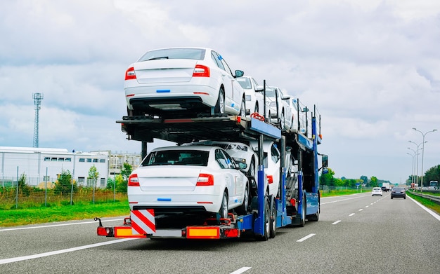 Camion per auto su strada o autostrada della Polonia. Camion trasportatore al lavoro di logistica. Rimorchio con trazione Cargo. Consegna per l'industria dell'esportazione dei trasporti. Trasportatore pesante. Trasportare il veicolo. Autotrasporto.