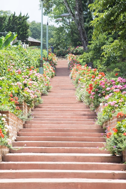 Cammina su per le scale nel giardino